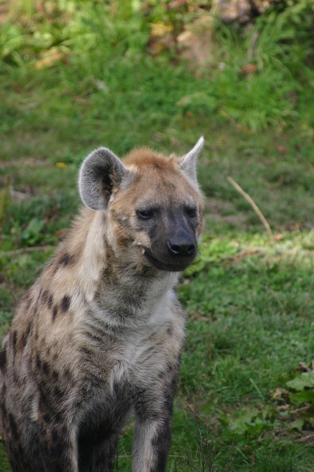 2011040701542207_k-Zoo & Jana 020.jpg
